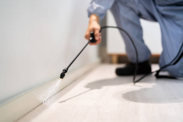 Licensed Cockroach Control service in Clinton, IN - Nex Pest Control
