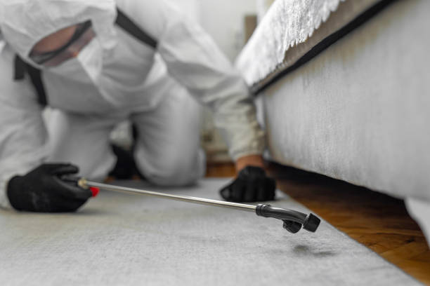 Professional Cockroach Control technician working in Clinton, IN