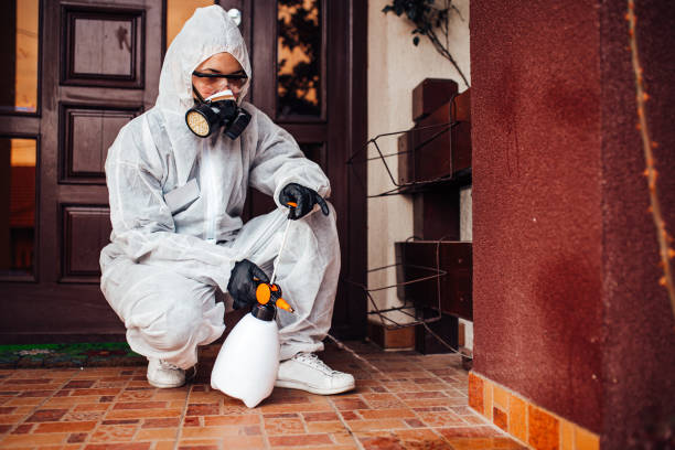 Reliable Cockroach Control contractor in Clinton, IN by Nex Pest Control