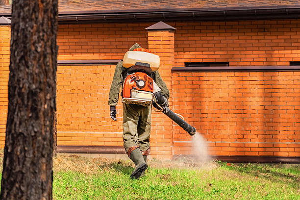 Top rated local Cockroach Control specialists in Clinton, IN